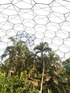 Cornwall 2019 eden project 03