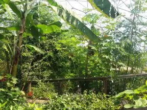 Cornwall 2019 eden project 07