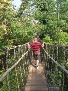 Cornwall 2019 eden project 08