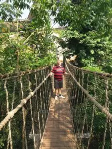 Cornwall 2019 eden project 09