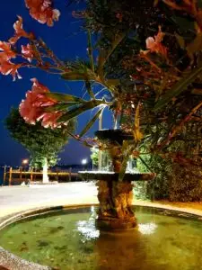 garda early evening 05