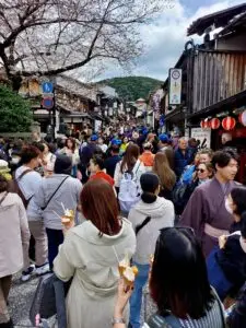 Japan 2024 kyoto