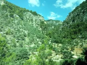 mallorca mountain (3)serra de tramuntana