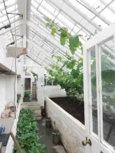 Cornwall 2019 the lost gardens of heligan 05