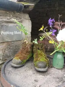 Cornwall 2019 the lost gardens of heligan 07