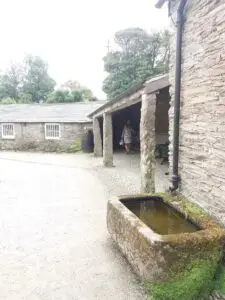 Cornwall 2019 the lost gardens of heligan 08