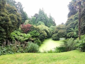 Cornwall 2019 the lost gardens of heligan 13