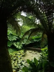 Cornwall 2019 the lost gardens of heligan 14