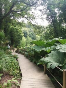 Cornwall 2019 the lost gardens of heligan 18