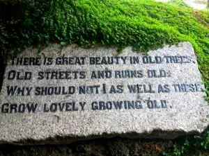 Cornwall 2019 church and graveyard at st. just in roseland 06